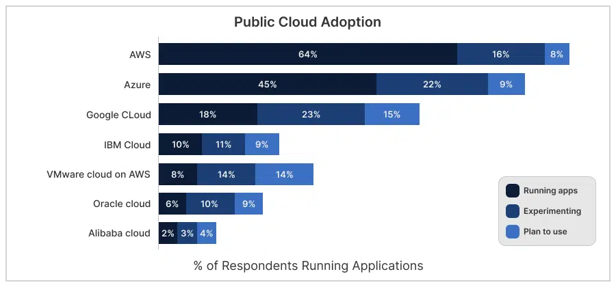 Public-Cloud-Adoption-blue-1.png